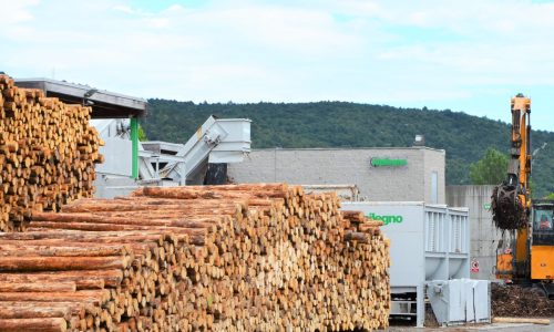 legname accatastato presso la sede di Alpilegno a Monfalcone