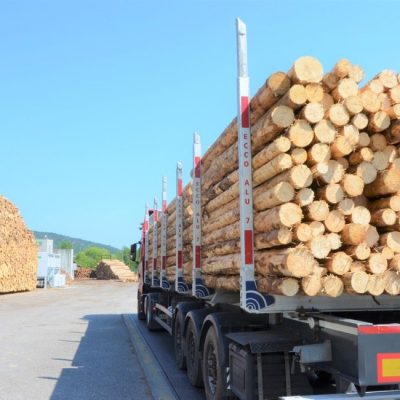 camion trasporto legname