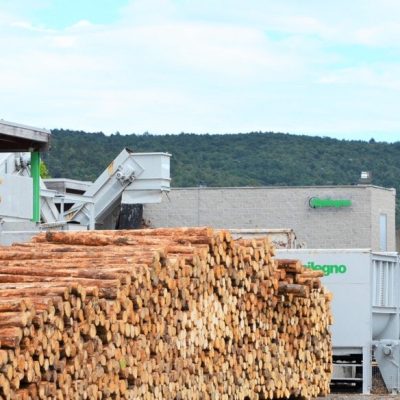 legname stoccato nella sede Alpilegno di Monfalcone