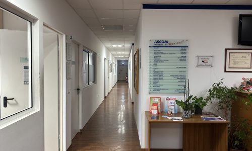 servizi IT gestiti con Ambient7_Ascom Confcommercio Monfalcone